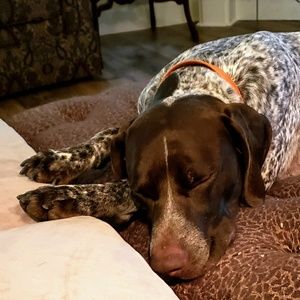 Meet your Posher, Mark